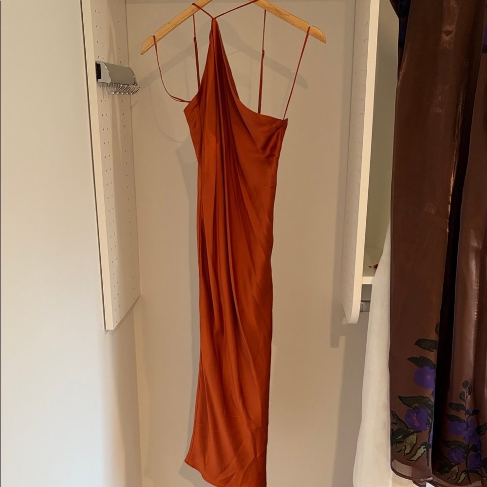 Banana Republic Backless Rust Dress